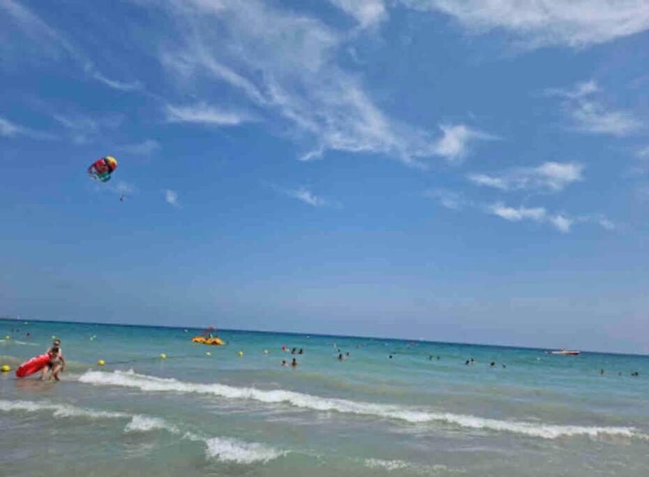Charming & Spacious Apartment In Historic Centre & Short Walk To Beach 阿利坎特 外观 照片