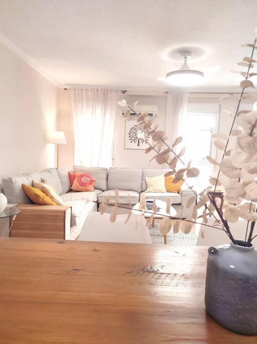 Charming & Spacious Apartment In Historic Centre & Short Walk To Beach 阿利坎特 外观 照片