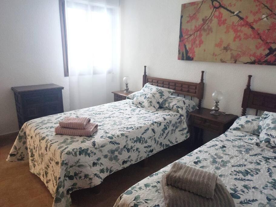 Charming & Spacious Apartment In Historic Centre & Short Walk To Beach 阿利坎特 外观 照片